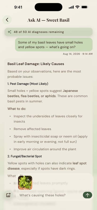 Asking GrowKeep's AI about small holes and yellow spots on a basil plant — with a photo attached to the question — and getting back a ranked diagnosis with what to do about each.