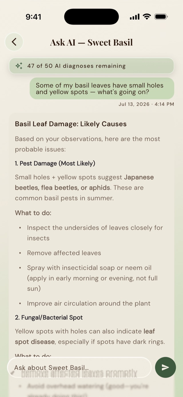 Asking GrowKeep's AI about small holes and yellow spots on a basil plant, and getting back a ranked diagnosis — pest damage first, then leaf spot — with what to do about each.
